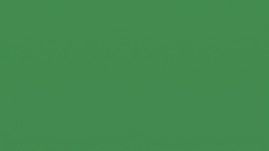 RAL 6018